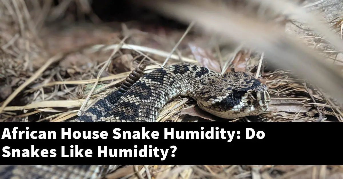African House Snake Humidity: Do Snakes Like Humidity?