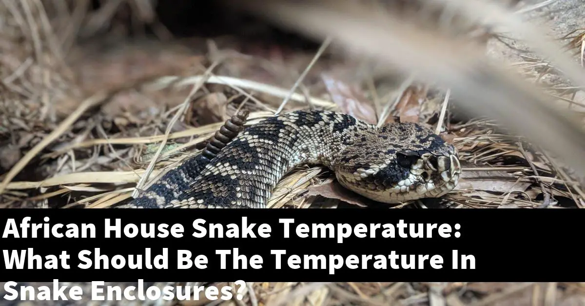 African House Snake Temperature: What Should Be The Temperature In Snake Enclosures?
