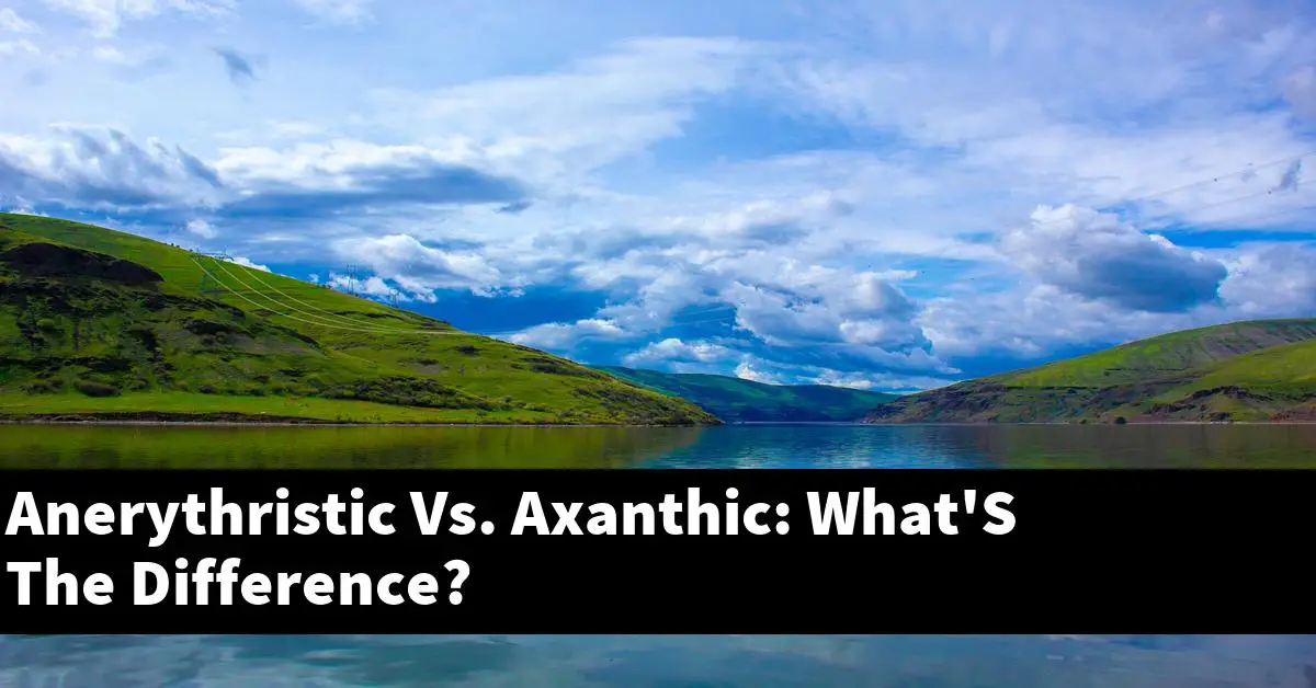 Anerythristic Vs. Axanthic: What'S The Difference?