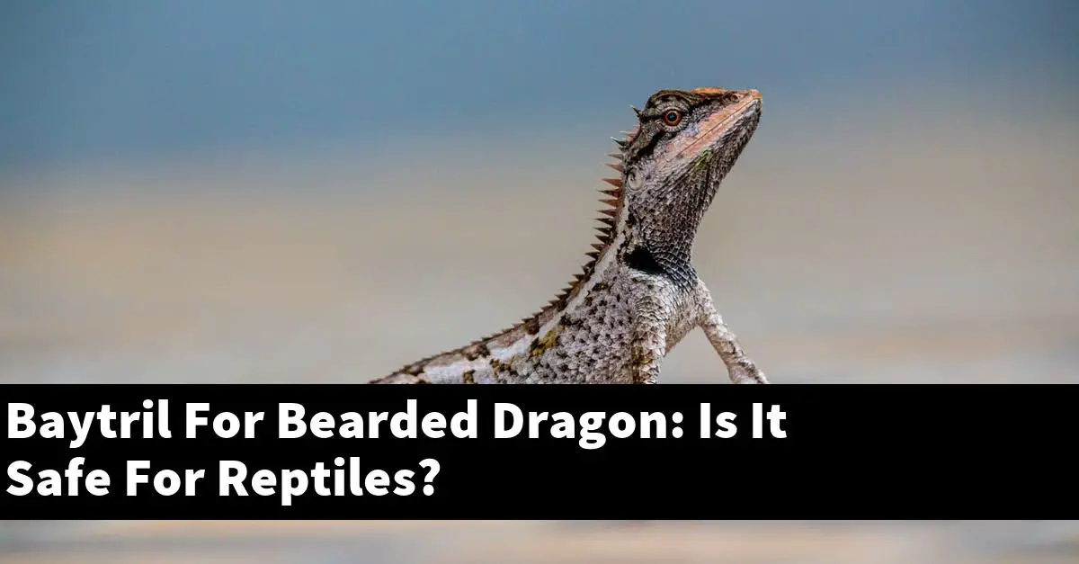 Baytril For Bearded Dragon: Is It Safe For Reptiles?