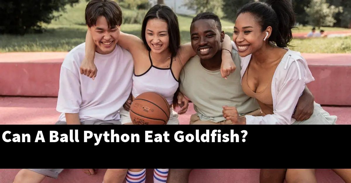 Can A Ball Python Eat Goldfish?