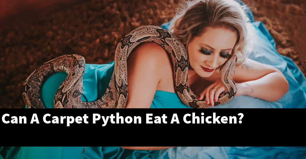 Can A Carpet Python Eat A Chicken?
