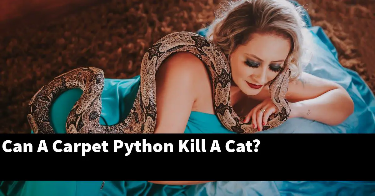 Can A Carpet Python Kill A Cat?