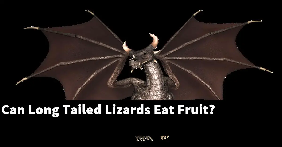 Can Long Tailed Lizards Eat Fruit?