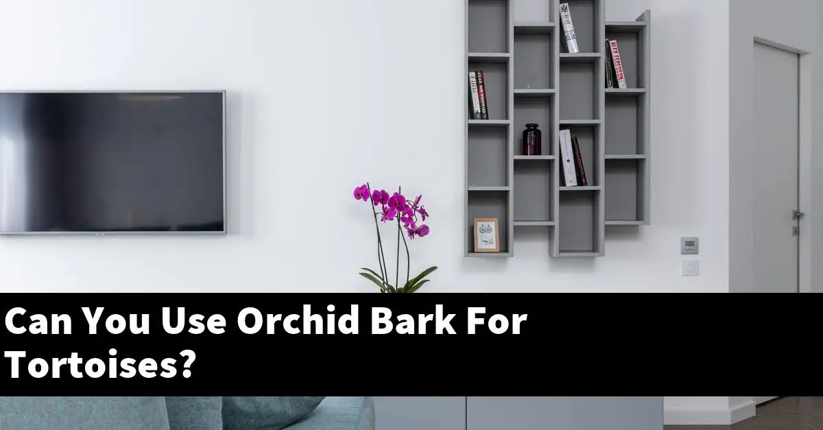 Can You Use Orchid Bark For Tortoises?