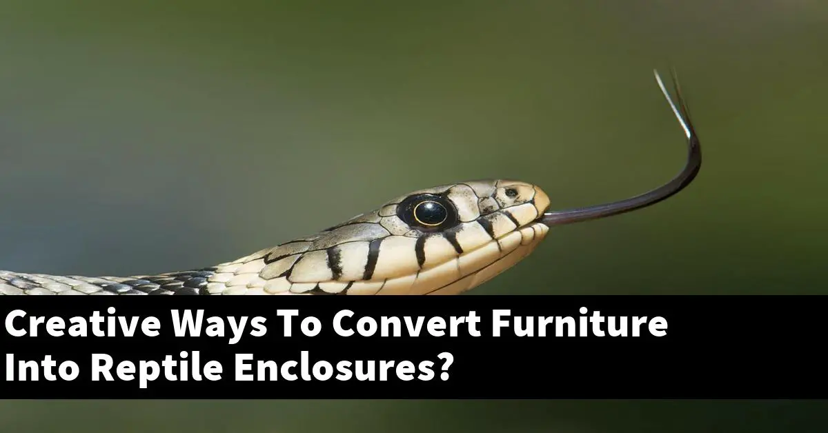 Creative Ways To Convert Furniture Into Reptile Enclosures?