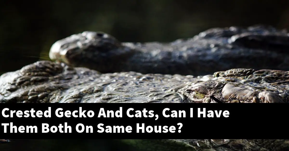 Crested Gecko And Cats, Can I Have Them Both On Same House?