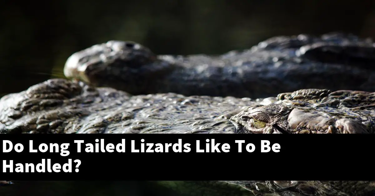 Do Long Tailed Lizards Like To Be Handled?