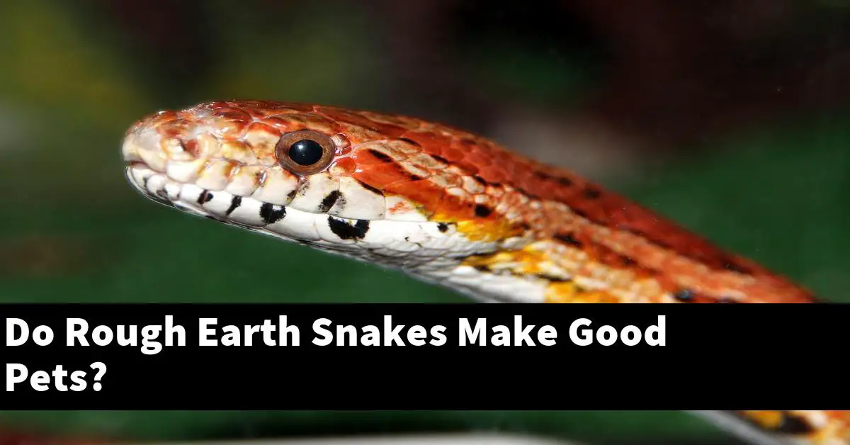 Do Rough Earth Snakes Make Good Pets?