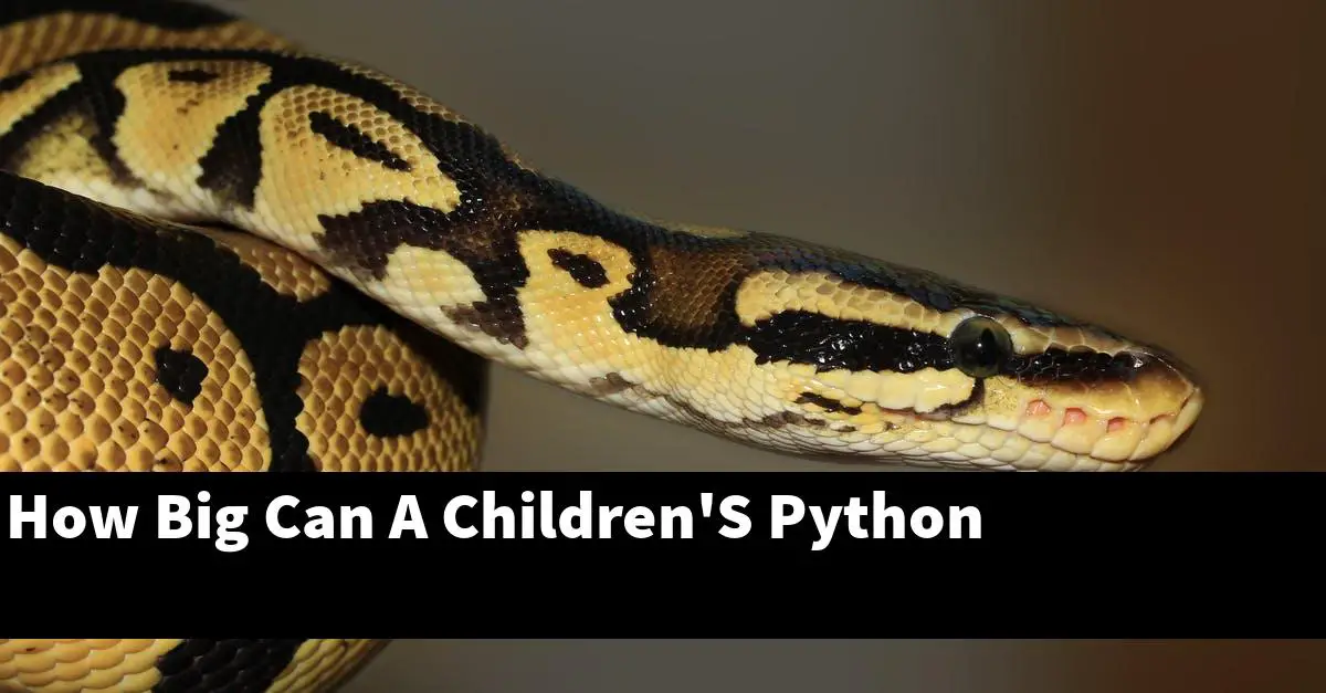 How Big Can A Children'S Python