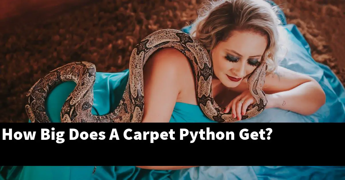 How Big Does A Carpet Python Get?