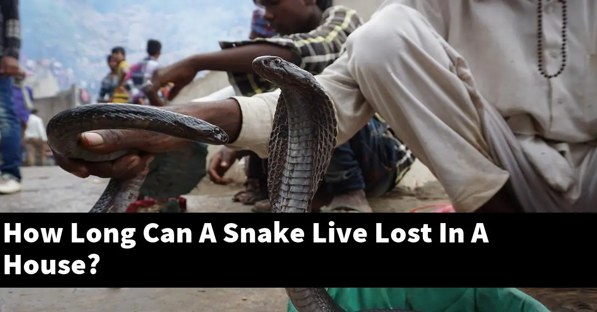 How Long Can A Snake Live Lost In A House?
