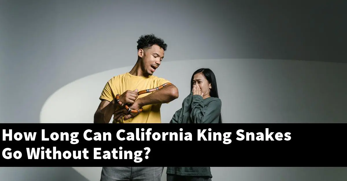 How Long Can California King Snakes Go Without Eating?