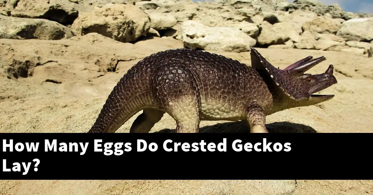 How Many Eggs Do Crested Geckos Lay?
