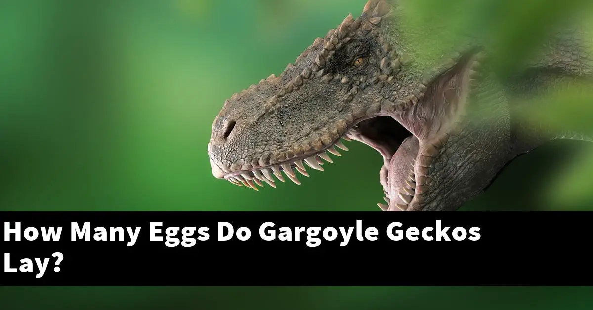 How Many Eggs Do Gargoyle Geckos Lay?