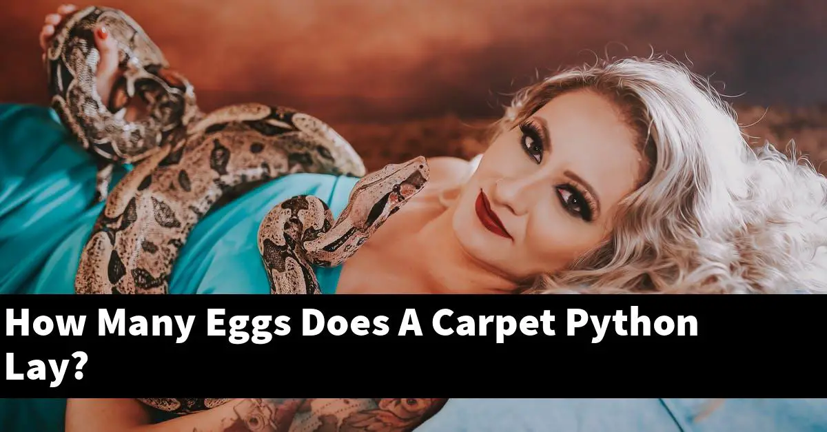 How Many Eggs Does A Carpet Python Lay?