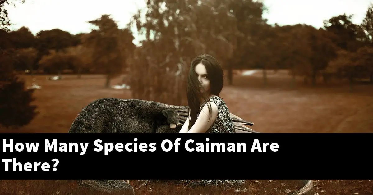 How Many Species Of Caiman Are There?