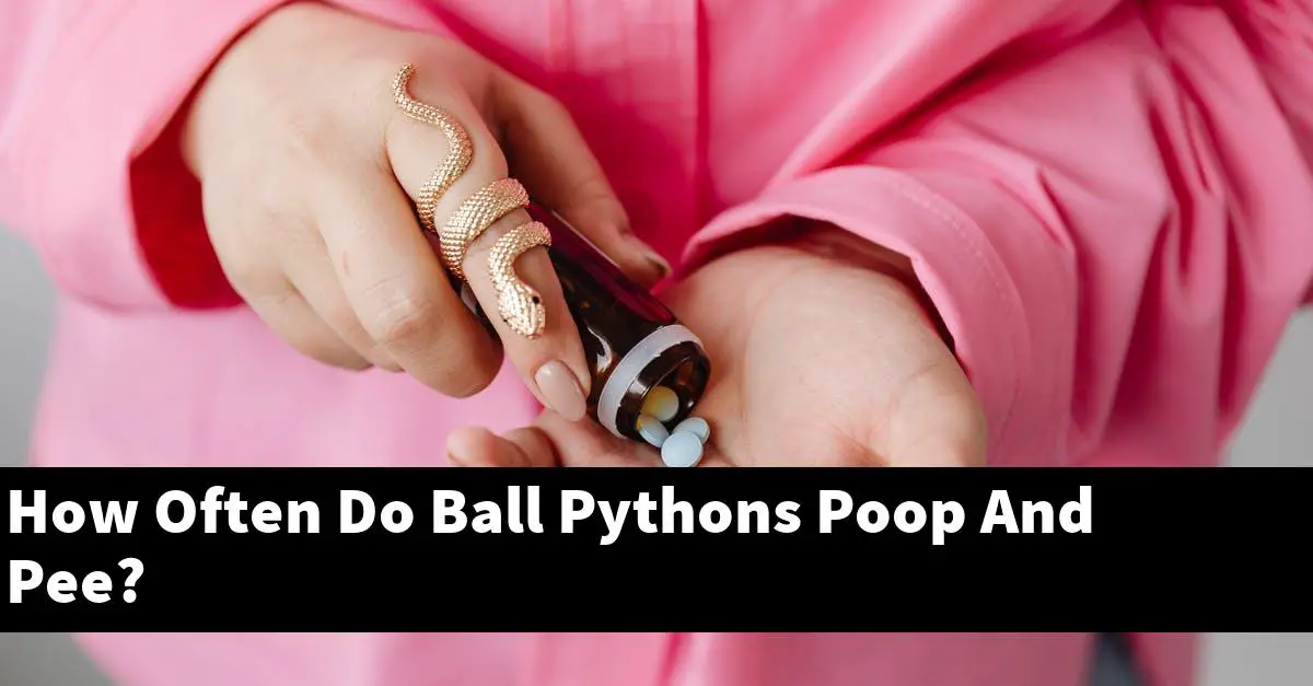 How Often Do Ball Pythons Poop And Pee?