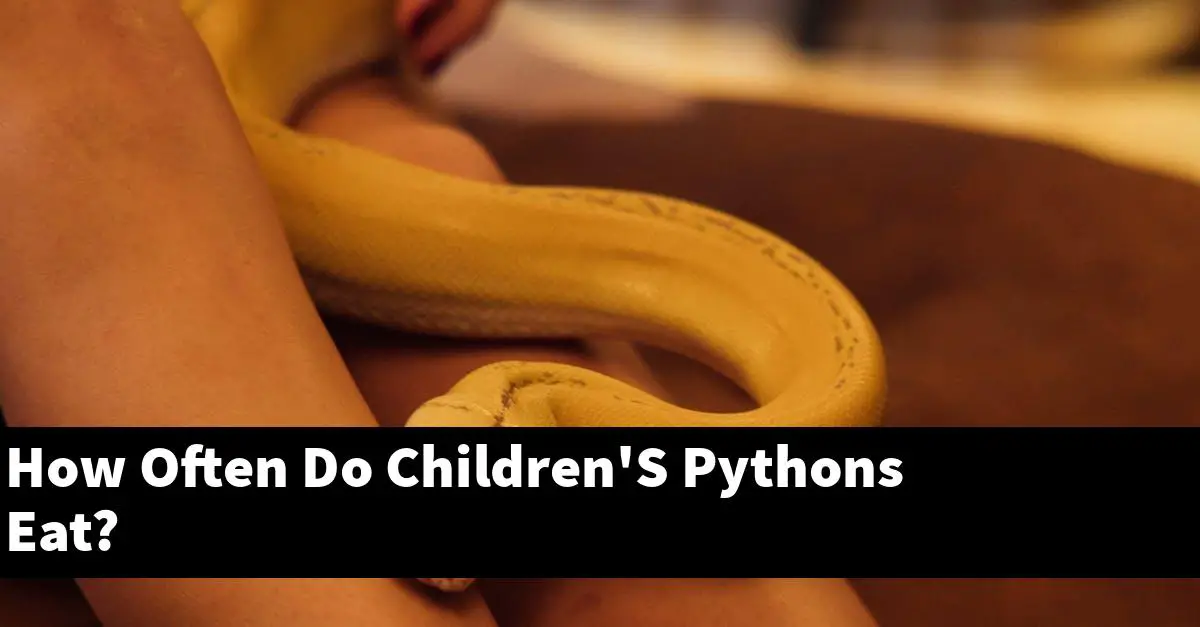 How Often Do Children'S Pythons Eat?