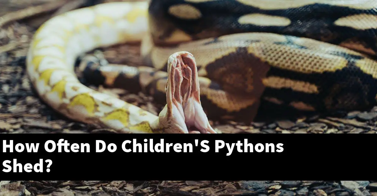 How Often Do Children'S Pythons Shed?