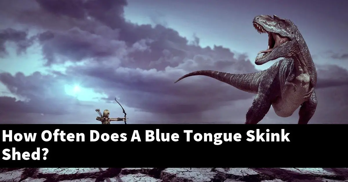 How Often Does A Blue Tongue Skink Shed?