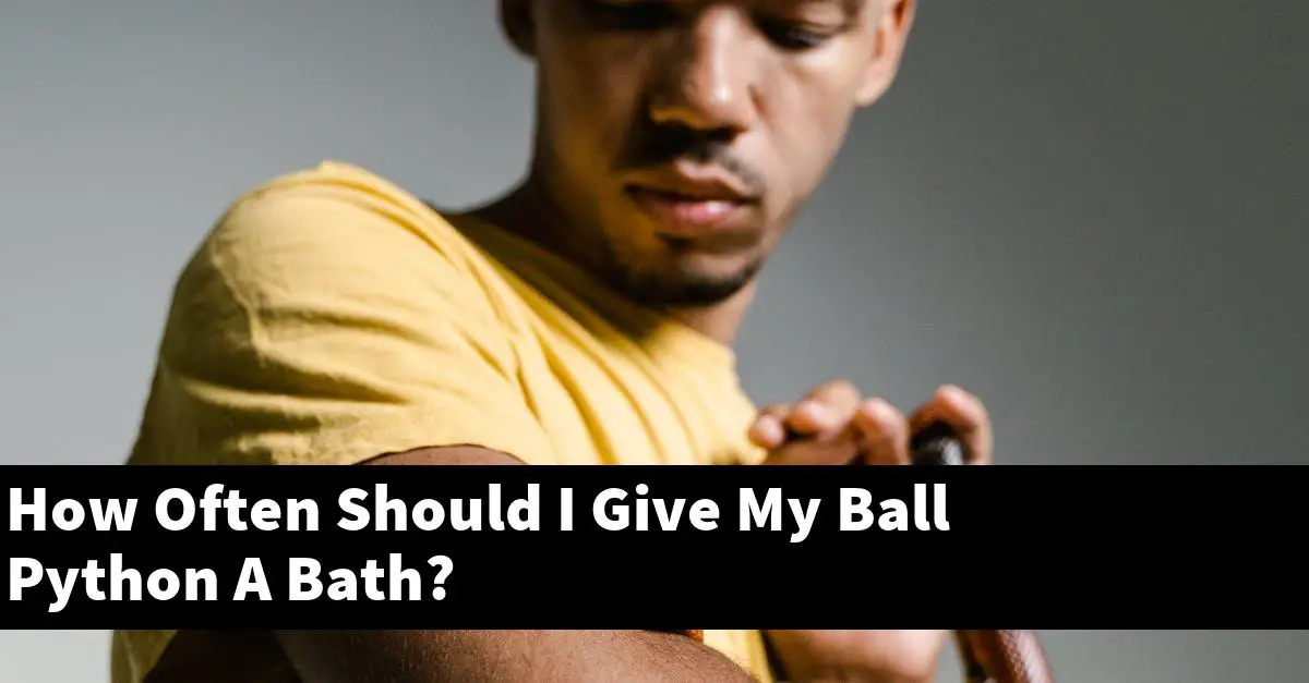 How Often Should I Give My Ball Python A Bath?