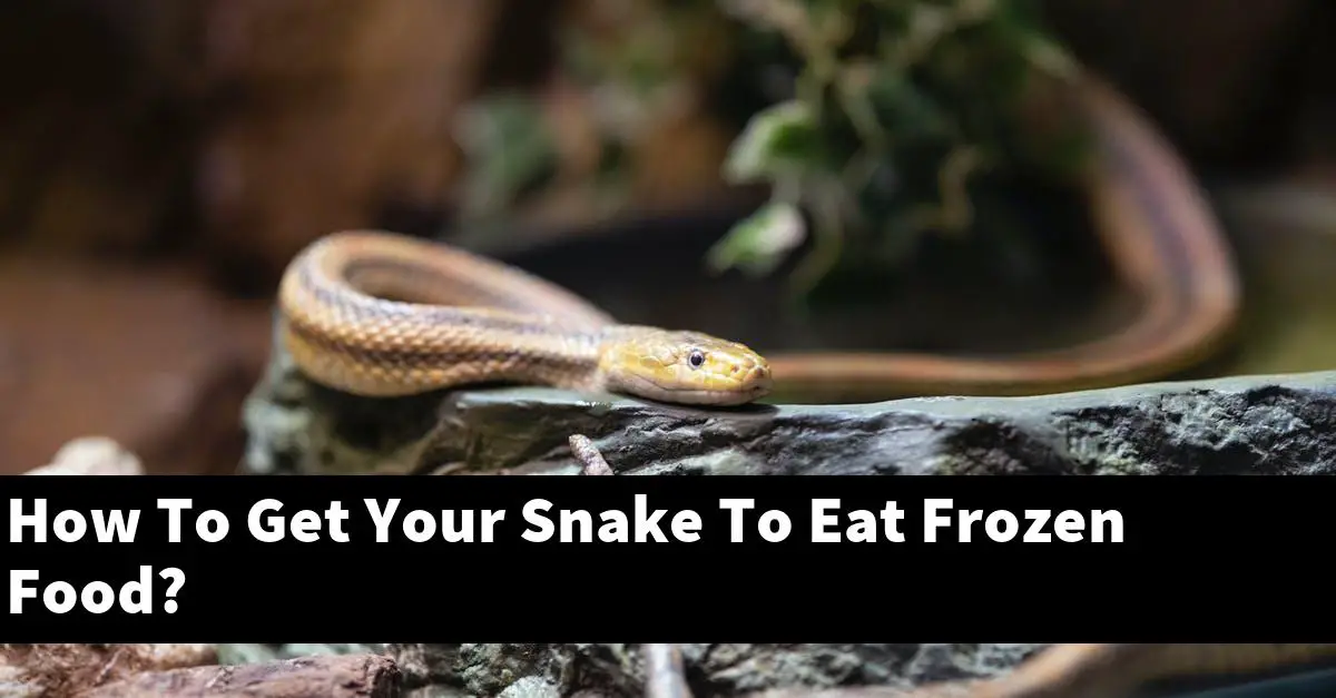 How To Get Your Snake To Eat Frozen Food?