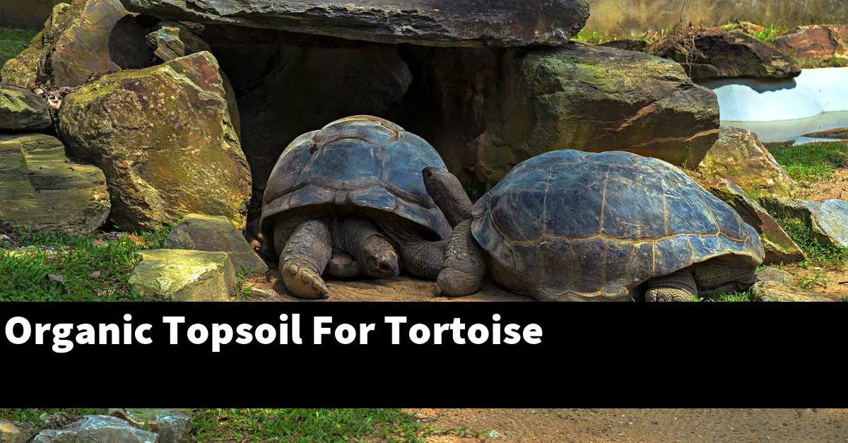 Organic Topsoil For Tortoise