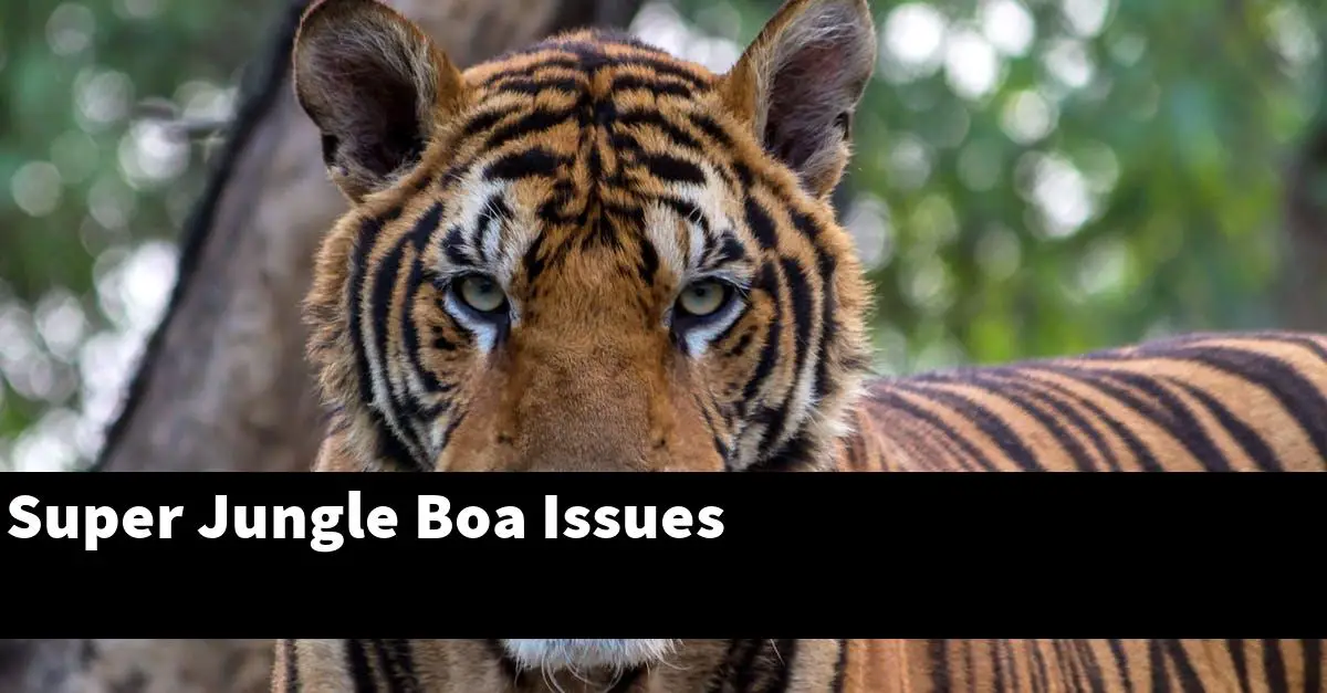 Super Jungle Boa Issues