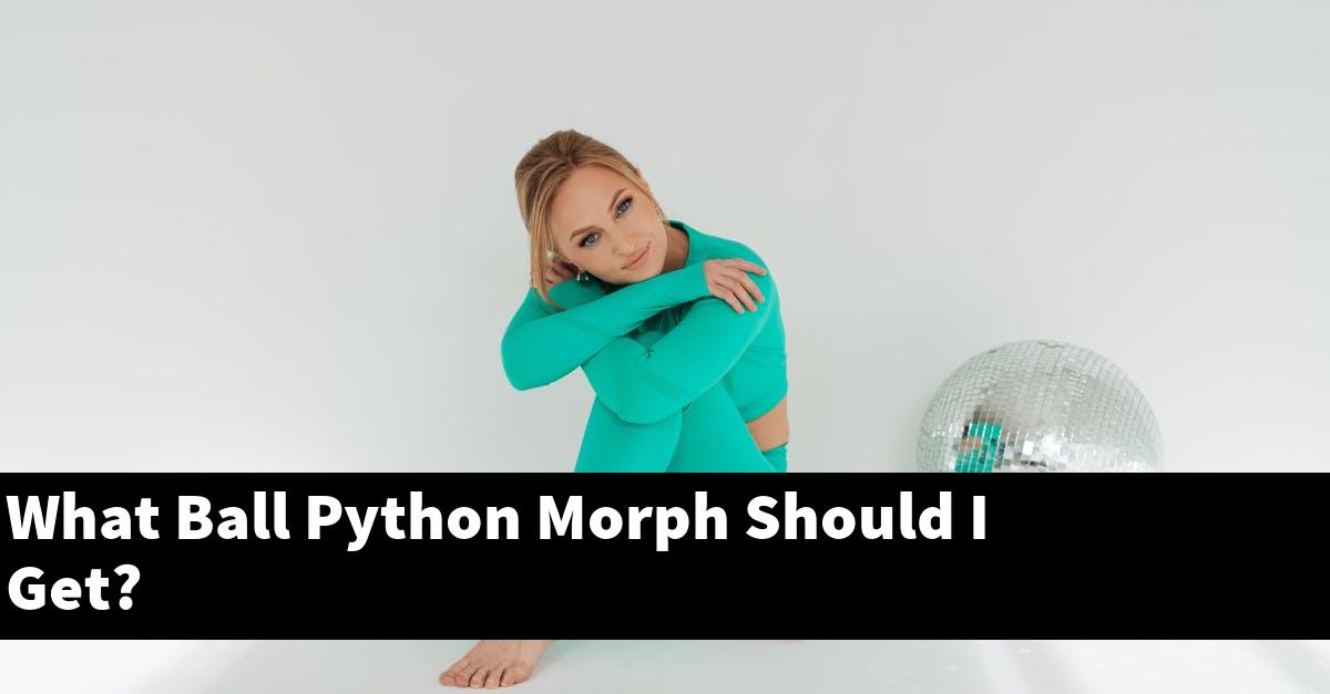 What Ball Python Morph Should I Get?