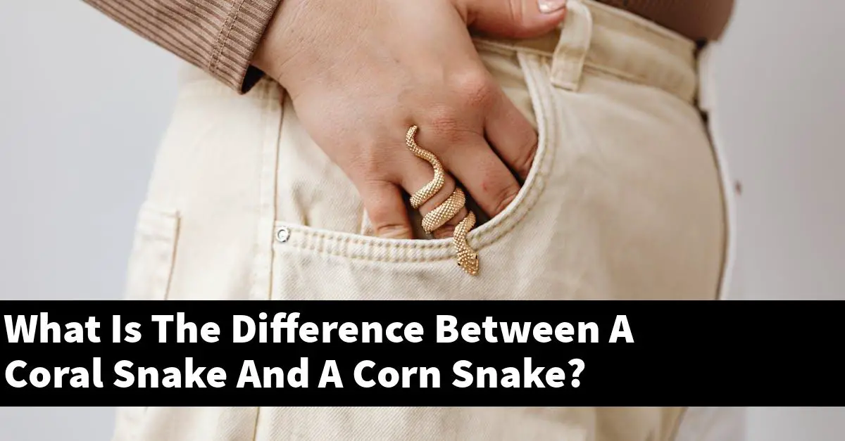 What Is The Difference Between A Coral Snake And A Corn Snake?