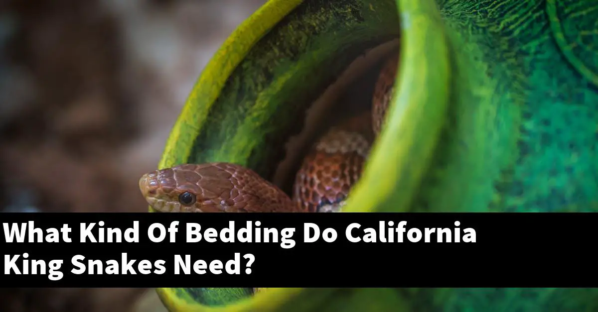 What Kind Of Bedding Do California King Snakes Need?