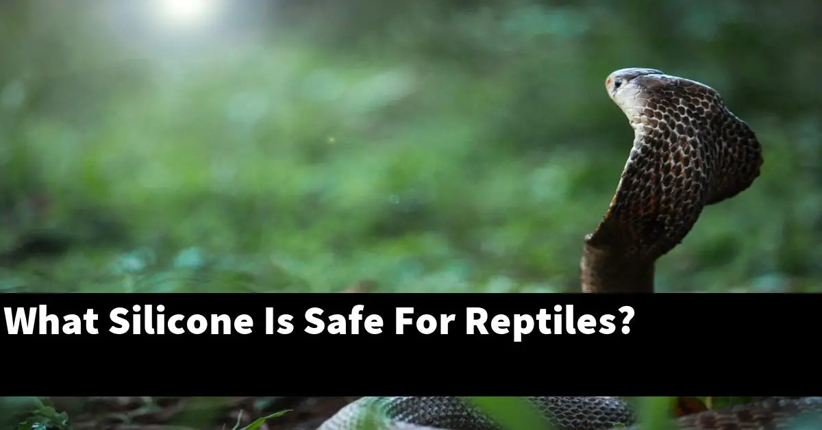 What Silicone Is Safe For Reptiles?