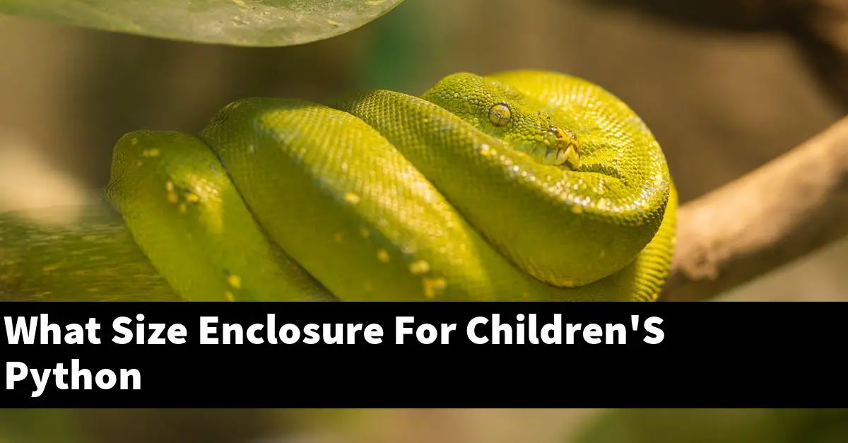 What Size Enclosure For Children'S Python