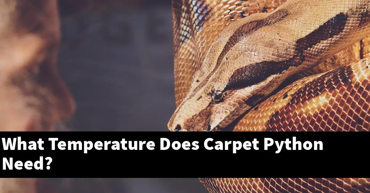 What Temperature Does Carpet Python Need?