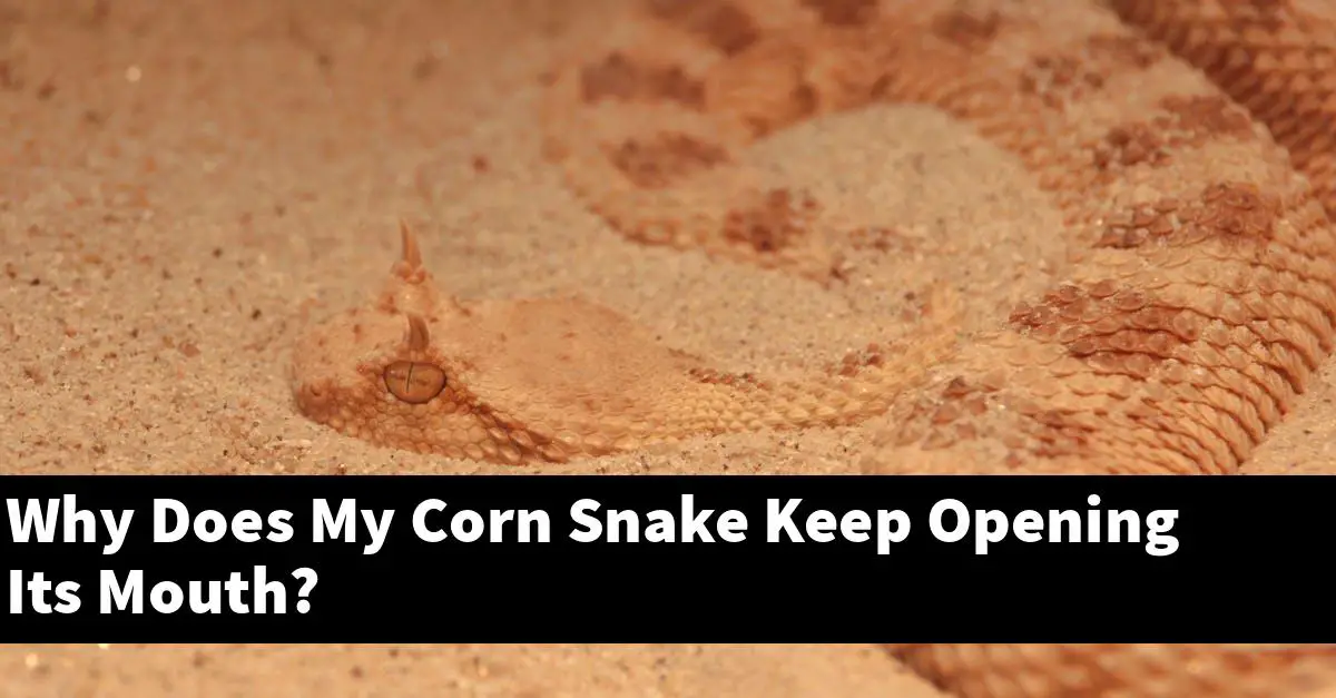 Why Does My Corn Snake Keep Opening Its Mouth?