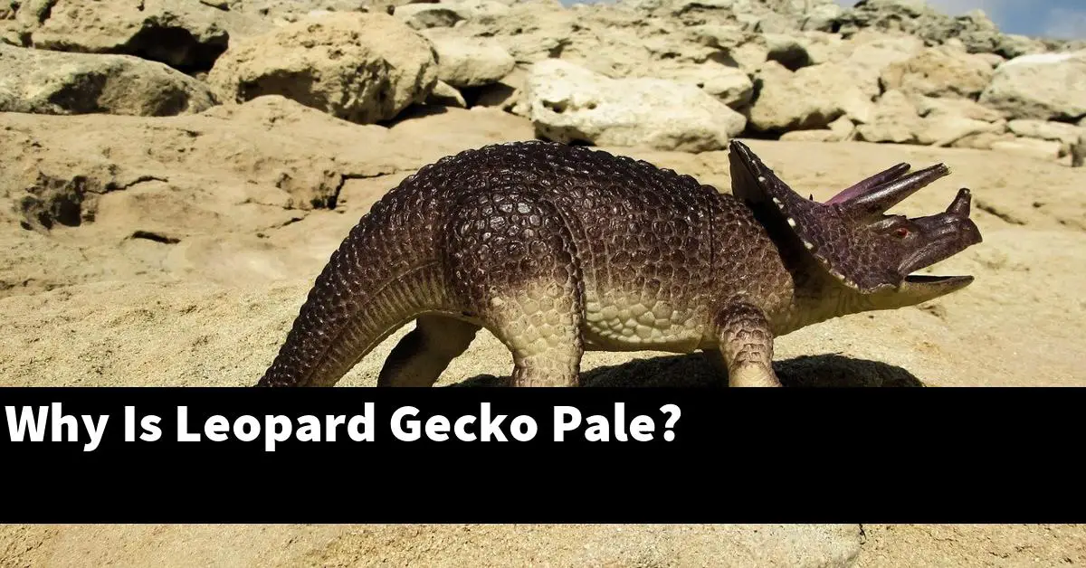 Why Is Leopard Gecko Pale?