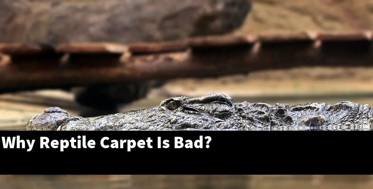 Why Reptile Carpet Is Bad?