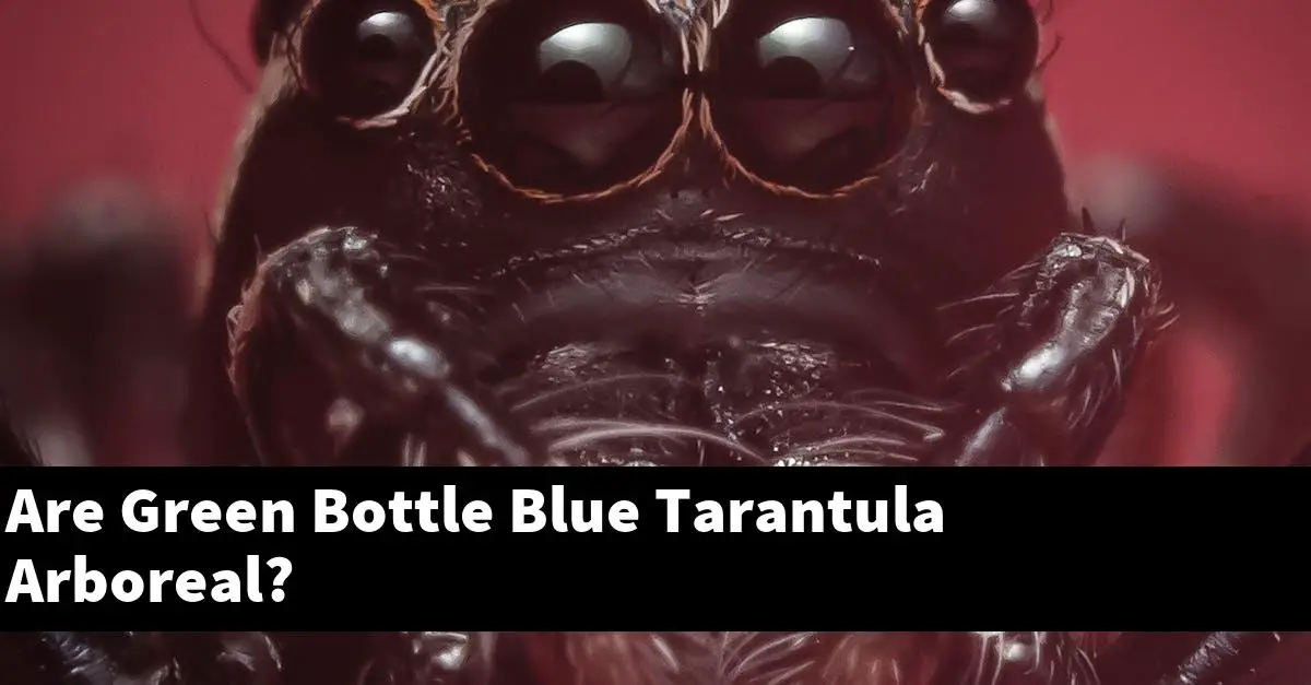 Are Green Bottle Blue Tarantula Arboreal?