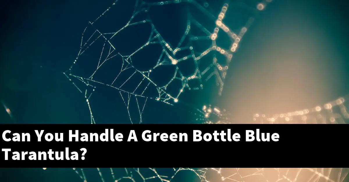 Can You Handle A Green Bottle Blue Tarantula?